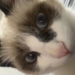 vicky - @vicky.block - Instagram