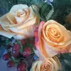 user9214953781967 - @vickyblue303 - TikTok