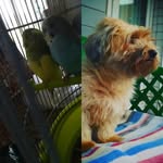 vicky_blue_titi18 - @vicky_blue_titi18 - Instagram