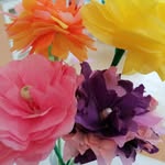 @vicky_blumenfan - Instagram