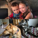 Vicki Schuldt Boatwright - @vickiboatwright - Instagram