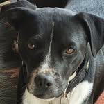 Vicki Schuldt Boatwright - @boatwright_vicki - Instagram