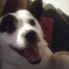 Vicki Bock - @vicki.bock - TikTok