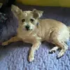 Vicki Boggs - @vicki.boggs2 - TikTok