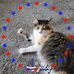 Vickie Bonnell - Facebook
