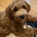 Vicky Bonnell - Facebook