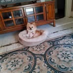 Vicki Borden - Facebook