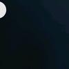 vickydominguez732 - @vickybosch2 - TikTok