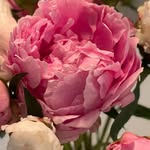 Vicki Boswell - @vickilynn_76 - Instagram