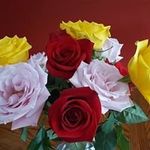 Vicky Bouchard Aho - @bouchardaho - Instagram