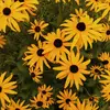 vicky.bouchard - @vicky.bouchard - TikTok