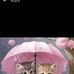 Vicky Bess - Facebook