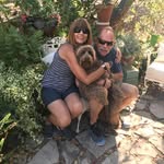 Vicky Brabant - @vicky.brabant.3 - Instagram