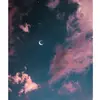 vicki - @vickybracamonte - TikTok