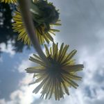 Vickie Brannon - @irishmom18 - Instagram