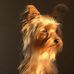 Vicky Bratton - Facebook