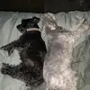 Vicky Brennan - @vicky.brennan8 - TikTok