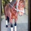 Vicki Brenneman - @vickibrenneman - TikTok