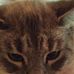 Vicki Brewster - Facebook