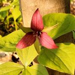 Vicki Brewster - @vickibrewster - Instagram