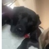 Vicky Brock - @vicky.brock1 - TikTok