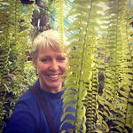 Vicky Brock - @vickysplantpics - Instagram