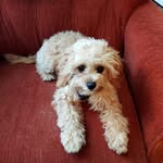 Vicky Bromley - @vicky.bromley.7 - Instagram