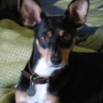 Vicki Yeager Brumfield - @vbrummy - Instagram