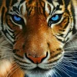 Vicky Bruner Byrd - @vickybyrd50 - Instagram