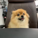 Vicky Bui - @vickybui2 - Instagram
