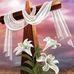 Vicky Bui - Facebook