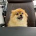 Vicky Bui - Facebook