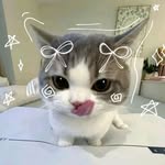 VickyBui - @_thvkie.0 - Instagram
