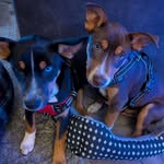 Vicki Burdick - @shorty71.89 - Instagram