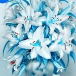 Vicky Burgess - @living_with_fibro - Instagram