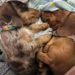 Vicki Burnett - Facebook