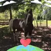 vickyburnett425 - @vickyburnett425 - TikTok
