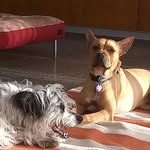 Vicki Burnside - @vi.cki2196 - Instagram