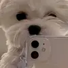 Vicky Caicedo - @vicky.caicedo5 - TikTok