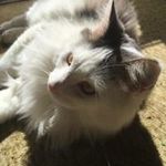 Vicky Carlson - @vicc1947 - Instagram