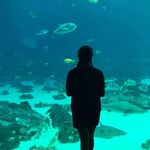 Vicky Carlson Gray - @vlg123 - Instagram