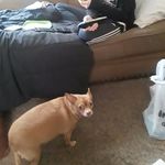 Vicky Chapman - @vickychapman1958 - Instagram