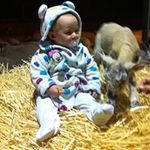 Vicky Chapman - @vickychapman83 - Instagram