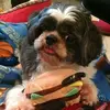 Vicky Cheng - @vicky.cheng2 - TikTok