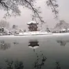 vickychiu - @vickychiu - TikTok