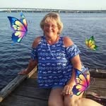 Vicky Clifton Roberson - @dolphin_lady_vickyroberson - Instagram