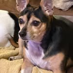 Vicky Coats - @coats4328 - Instagram