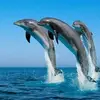 vickycobb445 - @vickyclose445 - TikTok