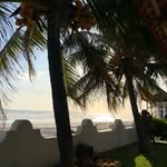 Vicky Cohen - @vcohenh - Instagram