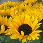 Vicky Colston - Facebook
